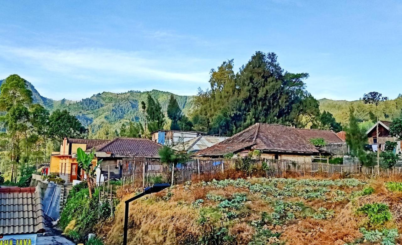 Holiday Home Anggun Bromo Exteriör bild